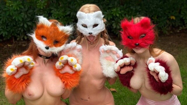 Image Who are Quadrobers?